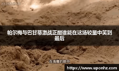 6686体育官网